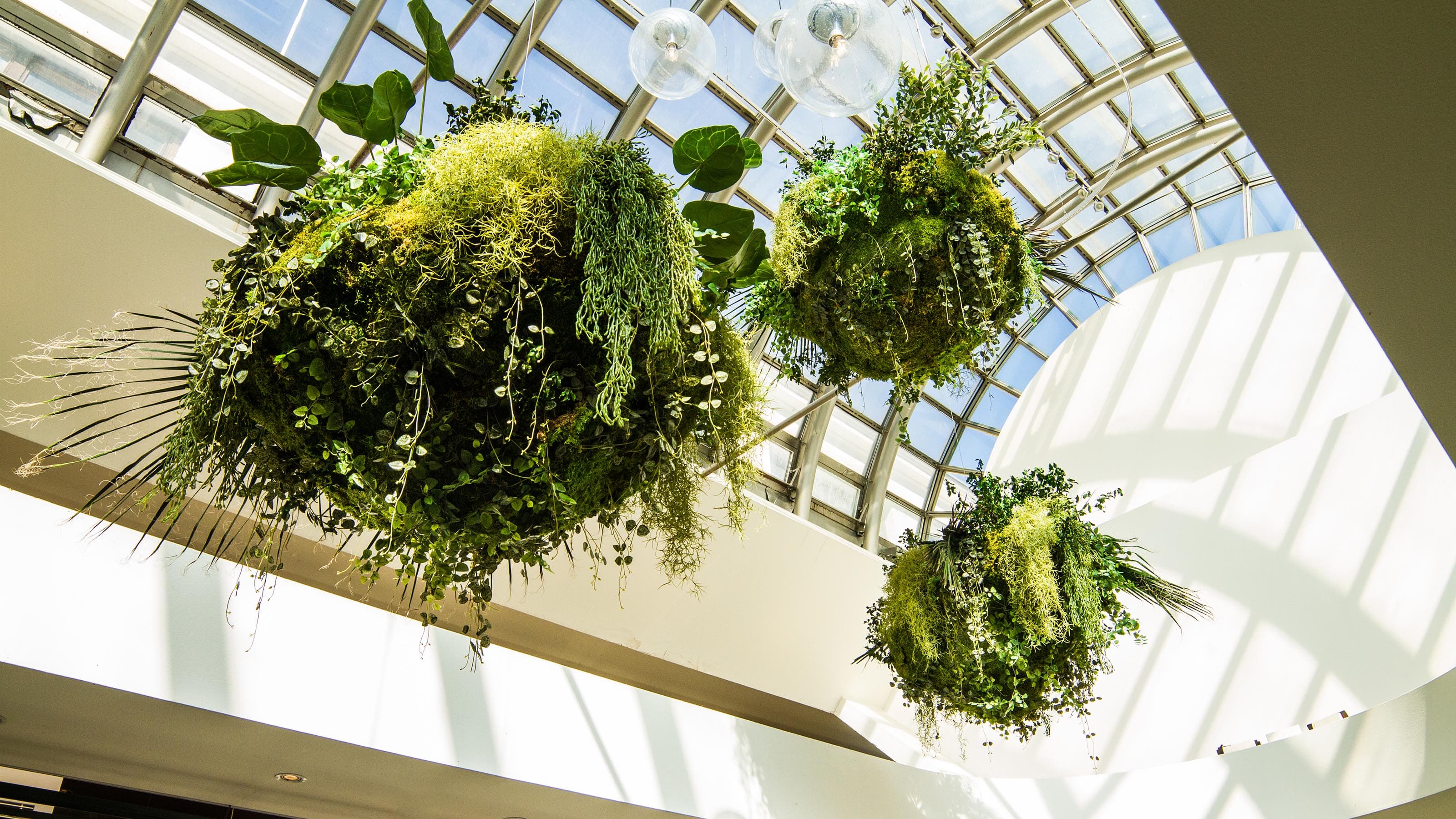 raataloidut-ratkaisut image